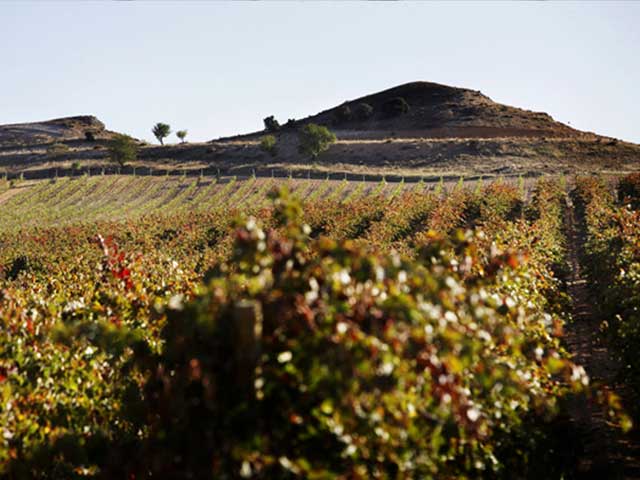 Vino-Historias-Duero-Ribera-Toro-DO